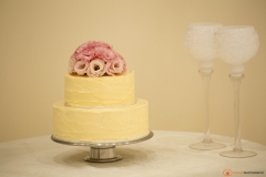 Business Cakes by Suzi