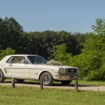 2J1A0430