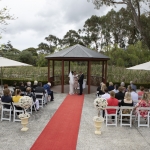 IMG_0001-copy-2