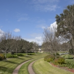 2-IMG_1343-copy-2